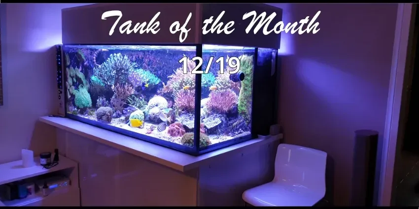 Beitragsbild_TOTM_12_19