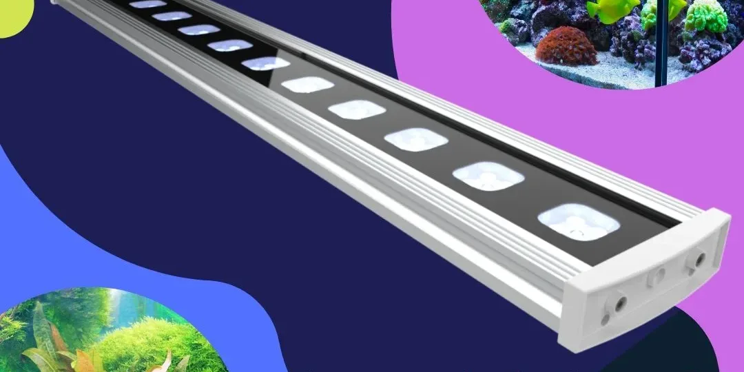 MitrasLightbar3-Introduction