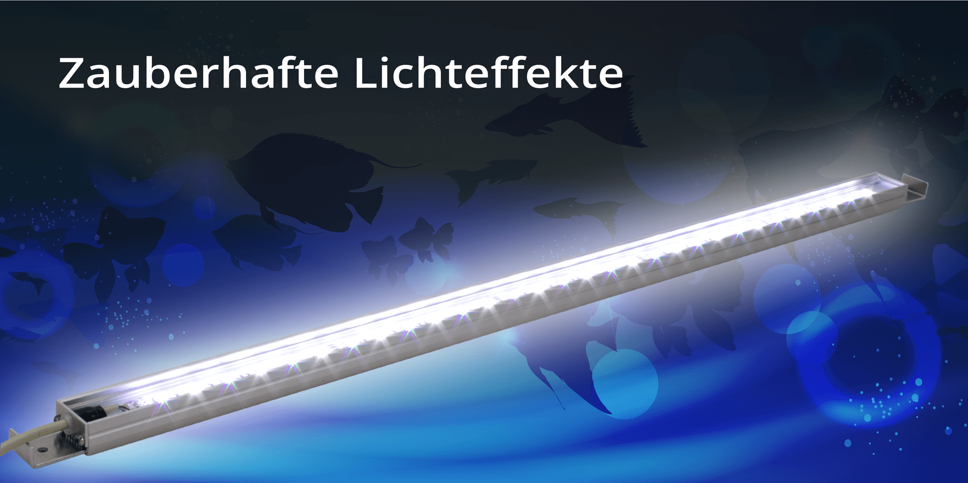 SimuBanner_D_oT2_1920x959