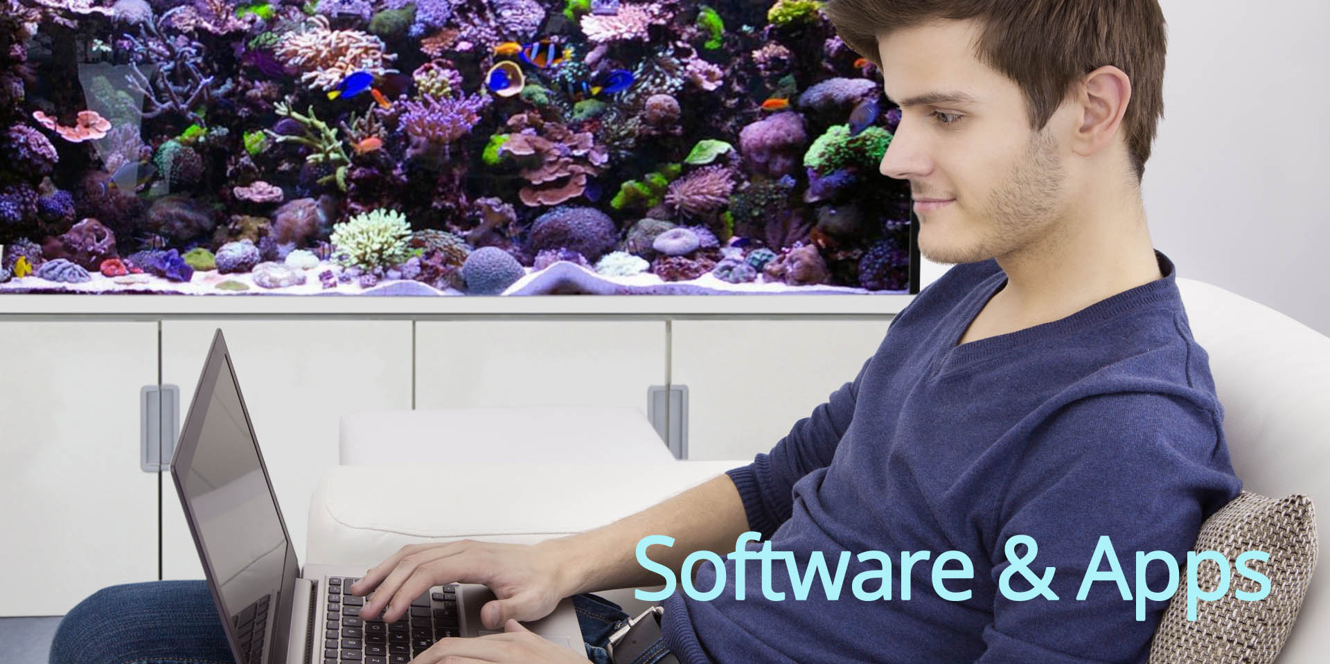 Software_Banner_weich