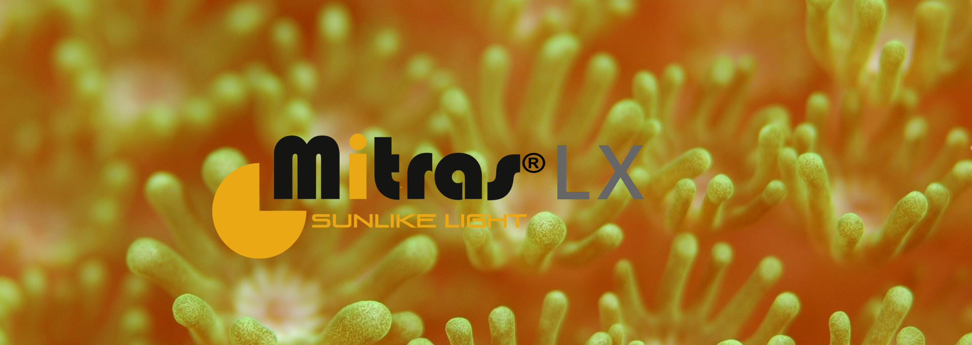 Banner-für-LX7_1920X681