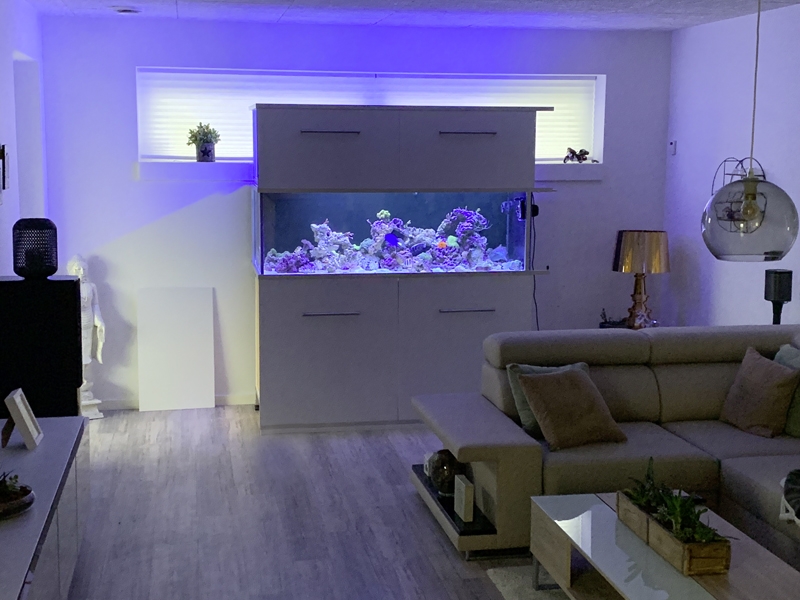 Aquarium TOTM_01_20, Ole Ovesen