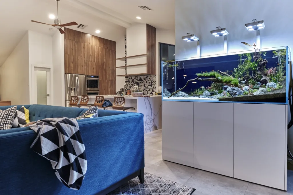 Aquarium_Front_TOTM_04_20