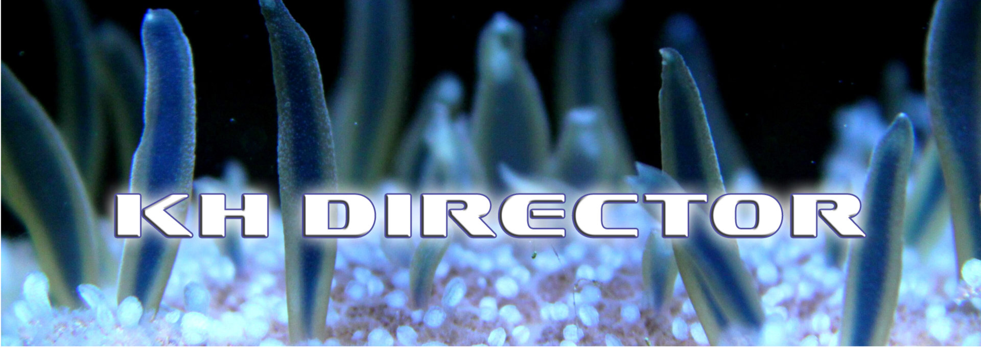 KHD_Banner_1920x681