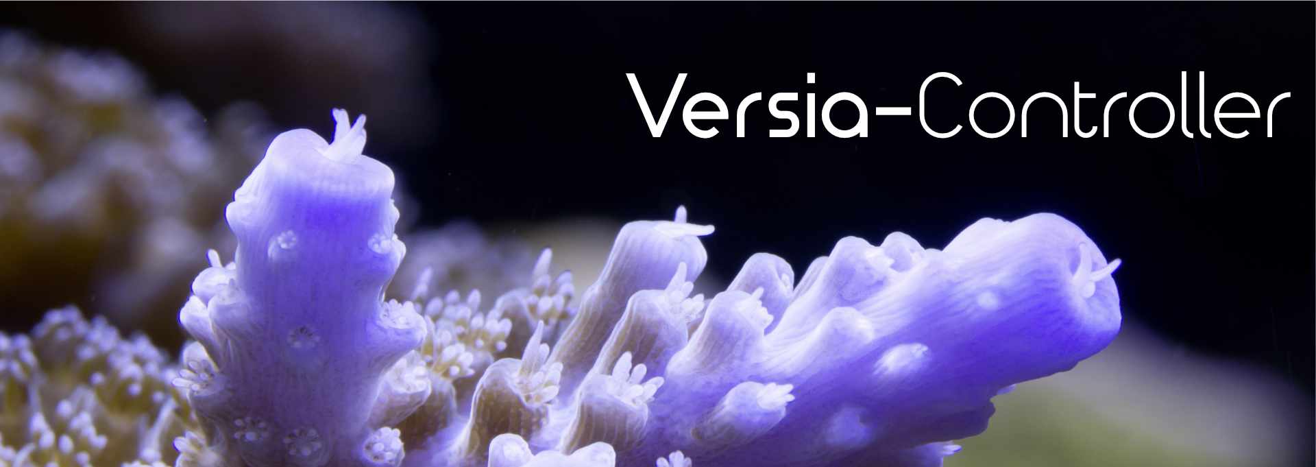 Beitragsbild-Versia-Controller_1920x681