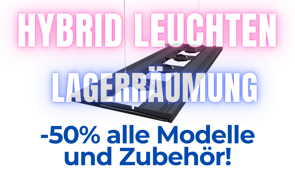 Alle Hybdrid-Leuchten -50% - so lange Vorrat reicht!