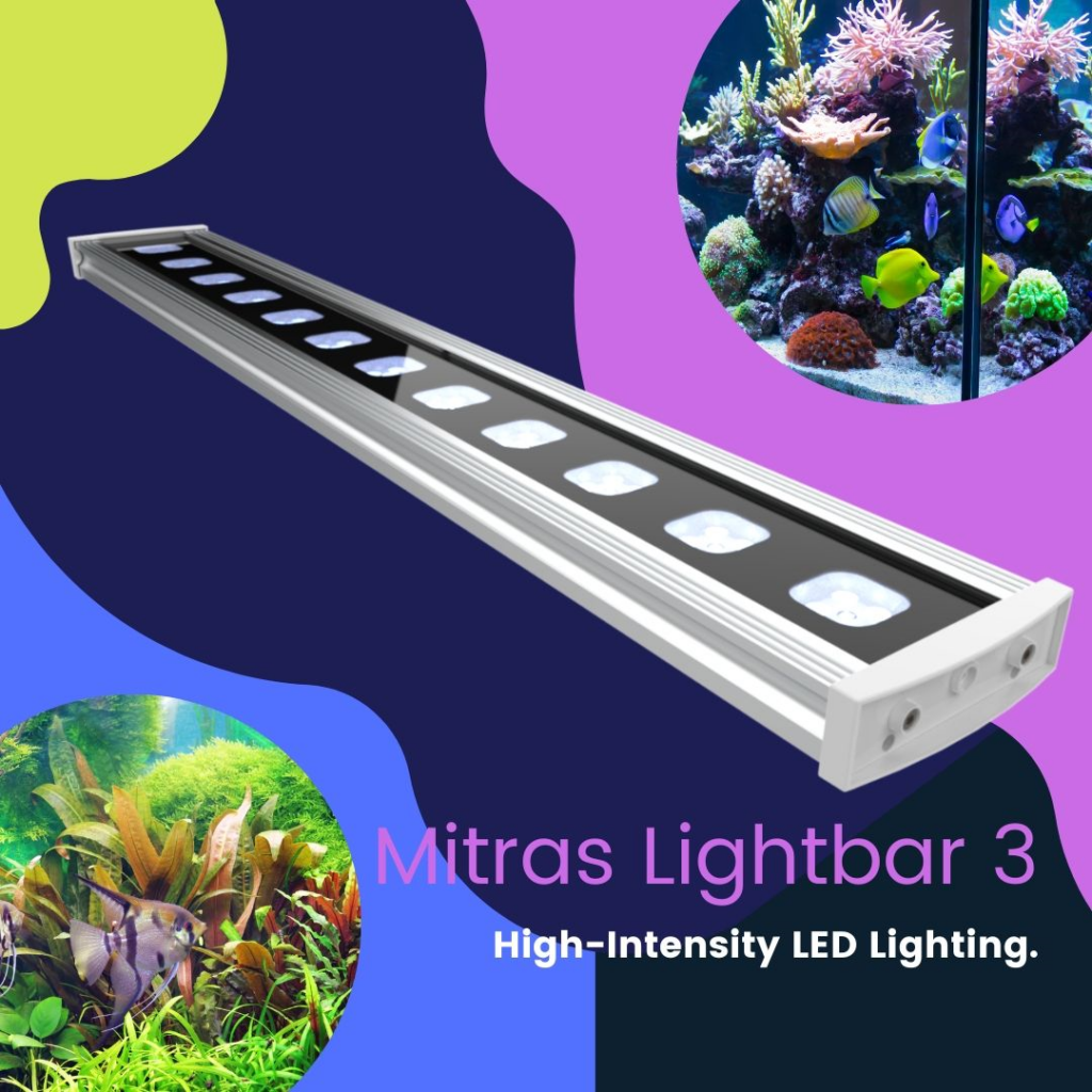 Mitras Lightbar 3 Verkaufsstart