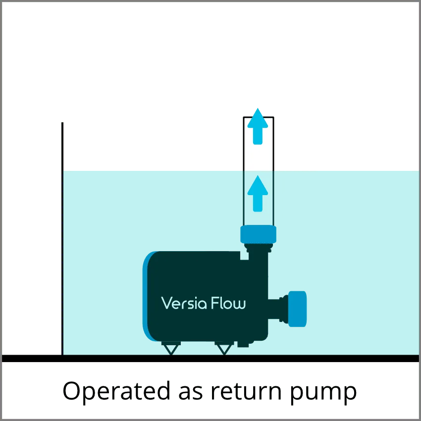 Versia Flow - Image 7