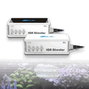 ION Director