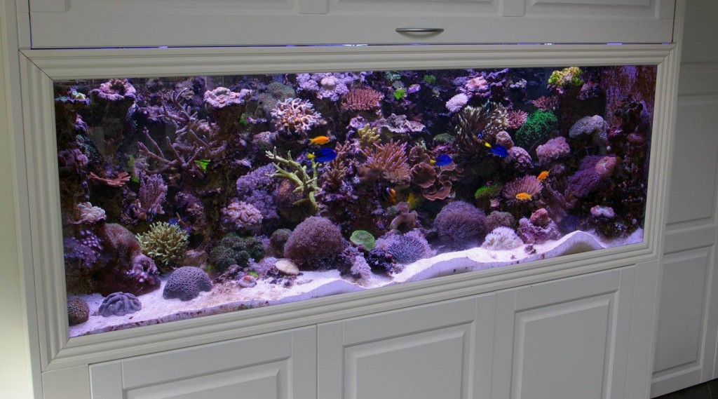Aquarium Profis Firma Aquarium Profis Firma