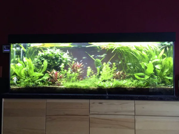 Mitras Lightbar 2 – Bild 11