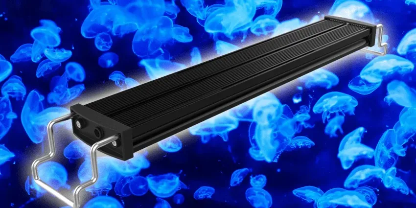 MitrasSlimlineBeitragsbild