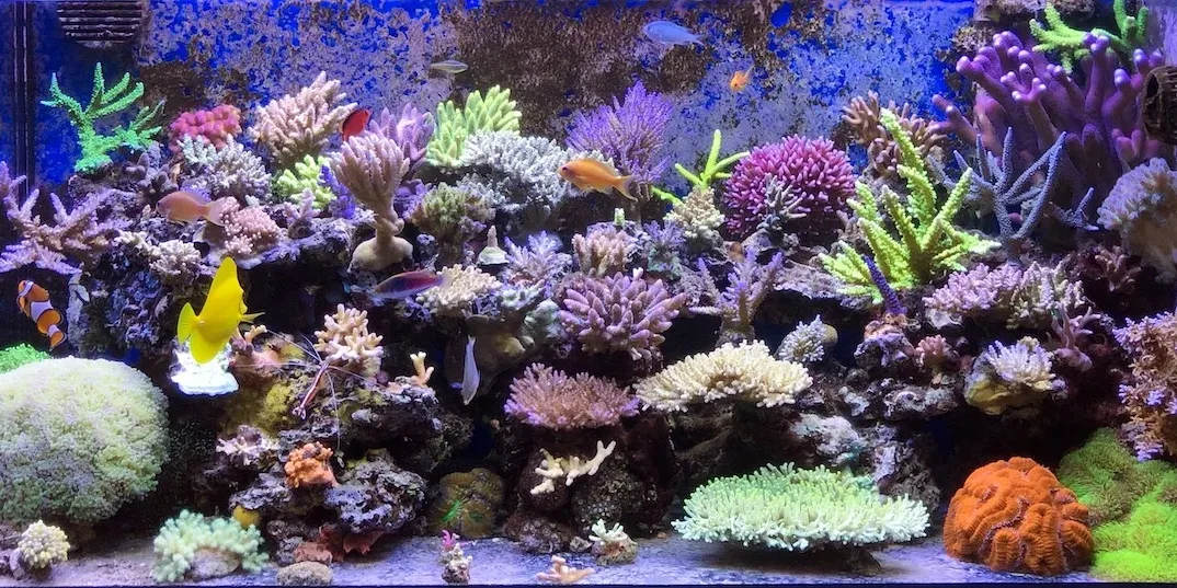 2019-03-03_5c7c1955e27c4_panoramica