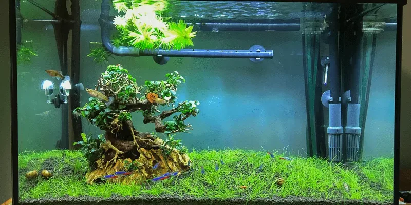 2019-03-04_5c7d2a16aacdb_IMG_2545