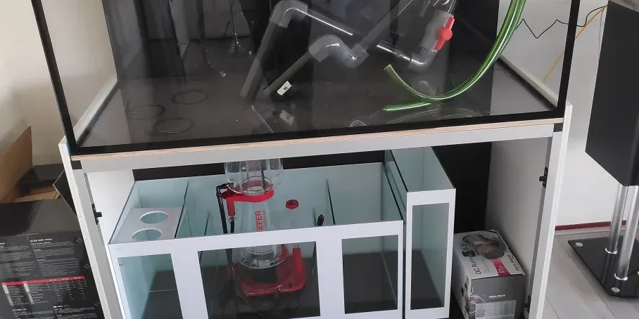 2019-03-04_5c7d895e5688a_aquarium-peter-streefland-NL