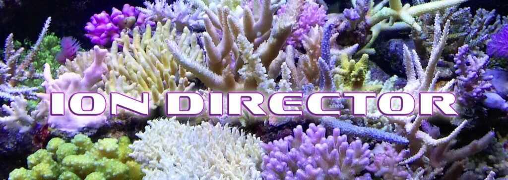 ION Director, provides lush coral
