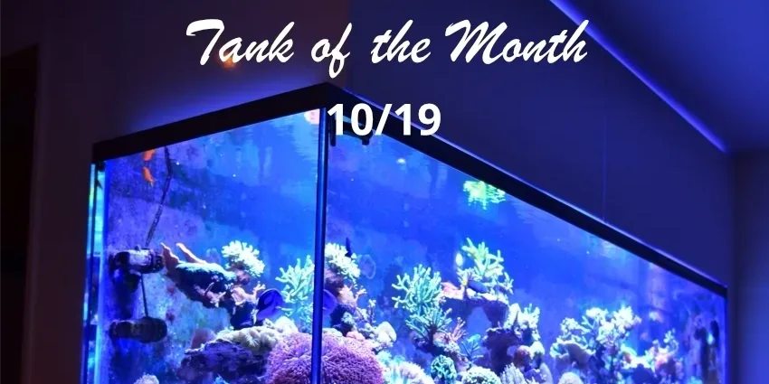 Featured image TOTM Oktober19, Martin Grob Beitragsbild TOTM Oktober19, Martin Grob