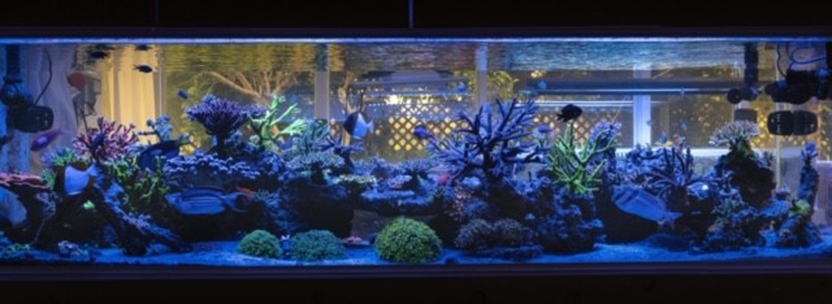 Top design and technology  EHEIM GmbH & Co. KG. Leading aquarium  manufacturer.