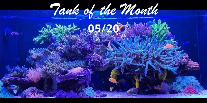 TOTM_05_20 TOTM_05_20