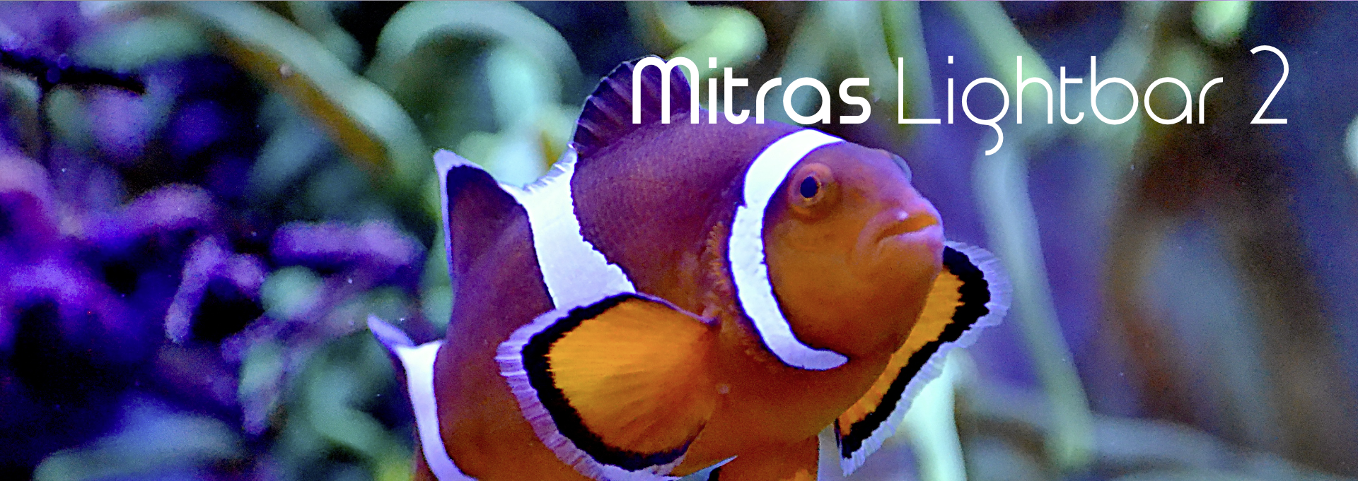 Banner-LB-2_1920x681