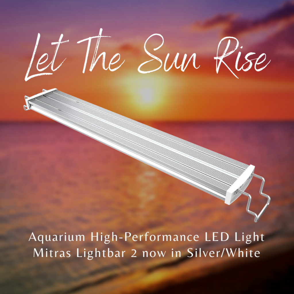 Mitras Lightbar 2 now also available in Silver/White - Introduction Discount!