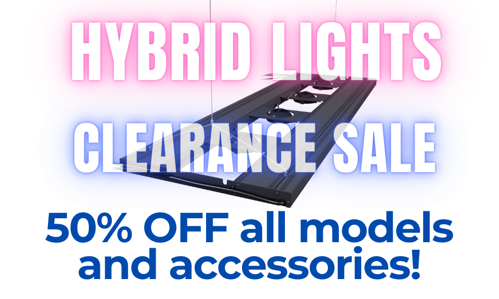 All Hybrid Lights 50% OFF - as long as stock lasts!