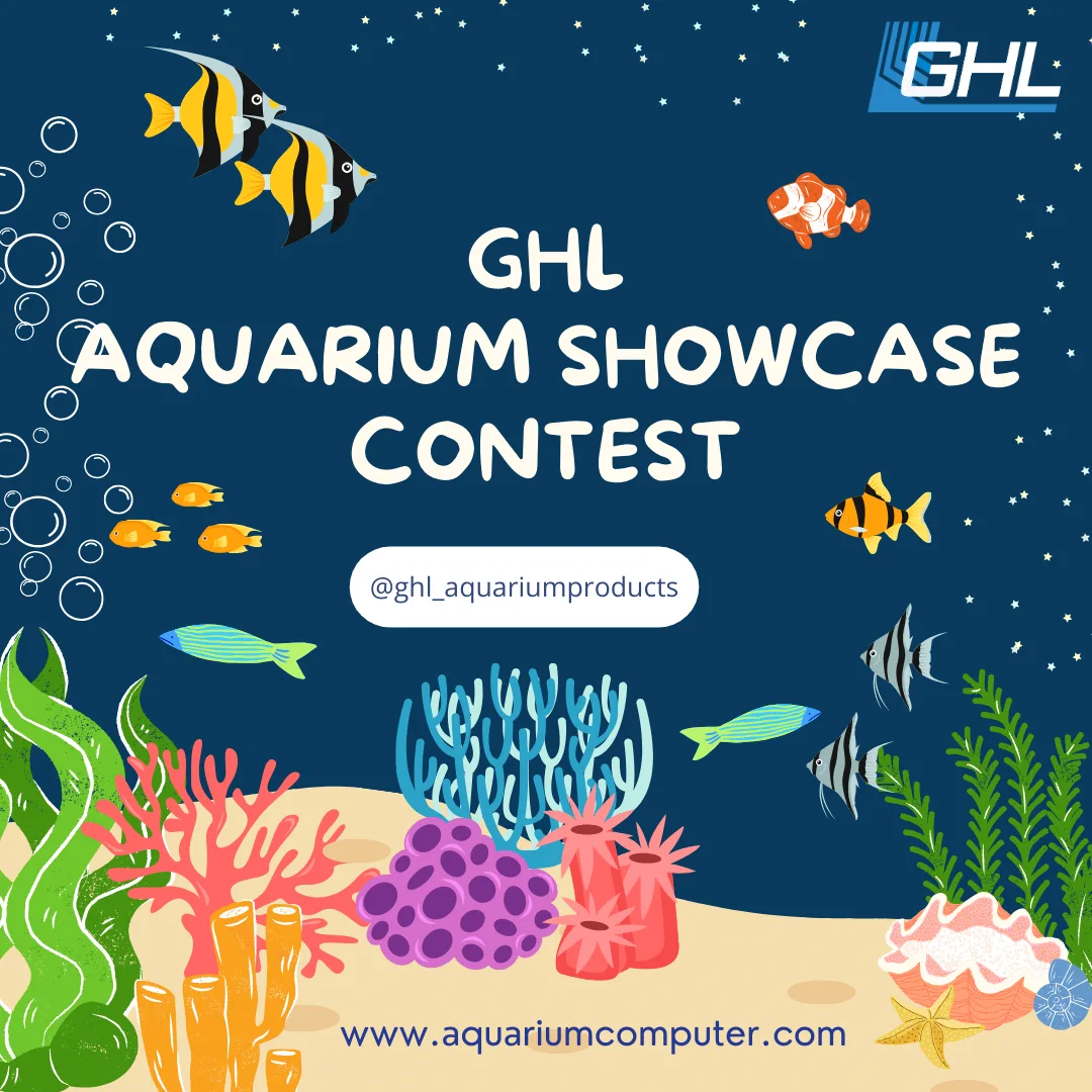 GHL Aquarium Show Case Contest Drawing showing off saltwater and freshwater aquarium inhabitants