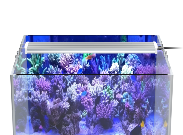 Mitras Lightbar 3 40-160 - Image 6