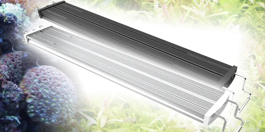 Warengruppenbild_Mitras Lightbar_3