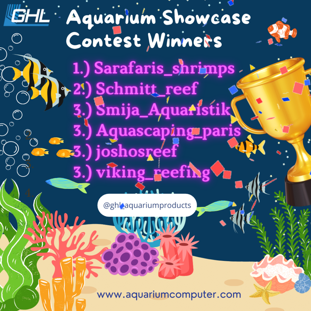 Aquarium Showcase Contest Winners