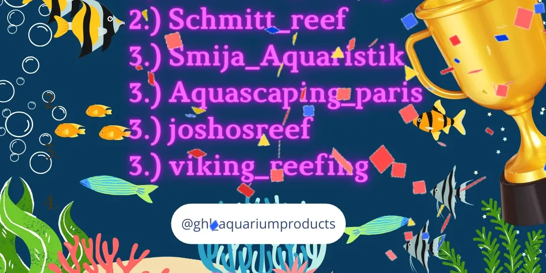 Aquarium Showcase Contest Winners