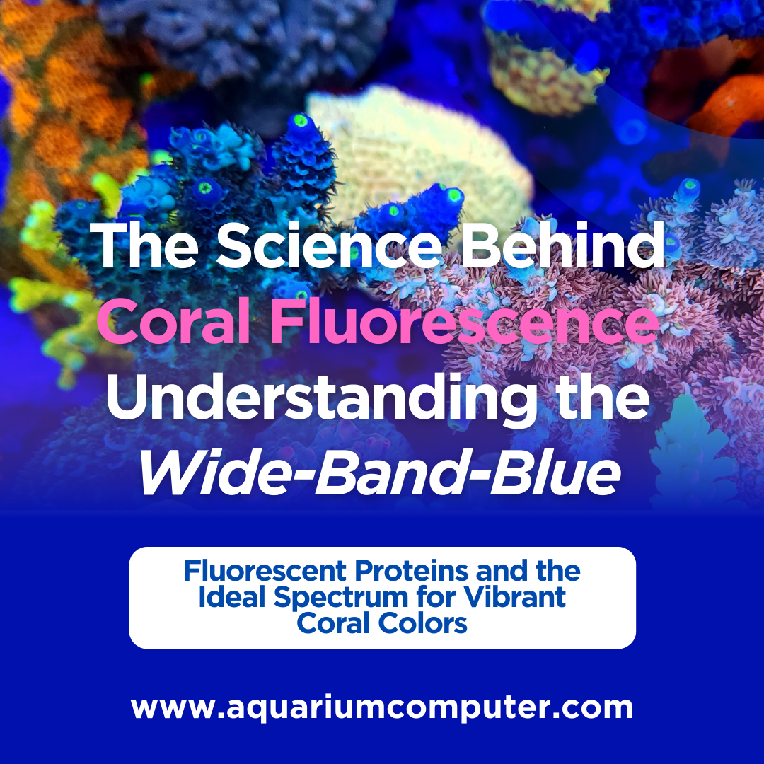 The Science Behind Coral Fluorescence Understanding the “WideBand
