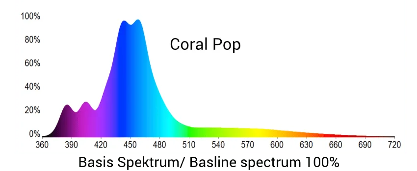 Mitras LX 7X06 - Image 12