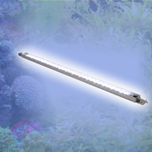 Mitras-Simu-Stick