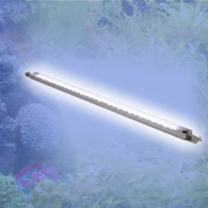 Mitras-Simu-Stick
