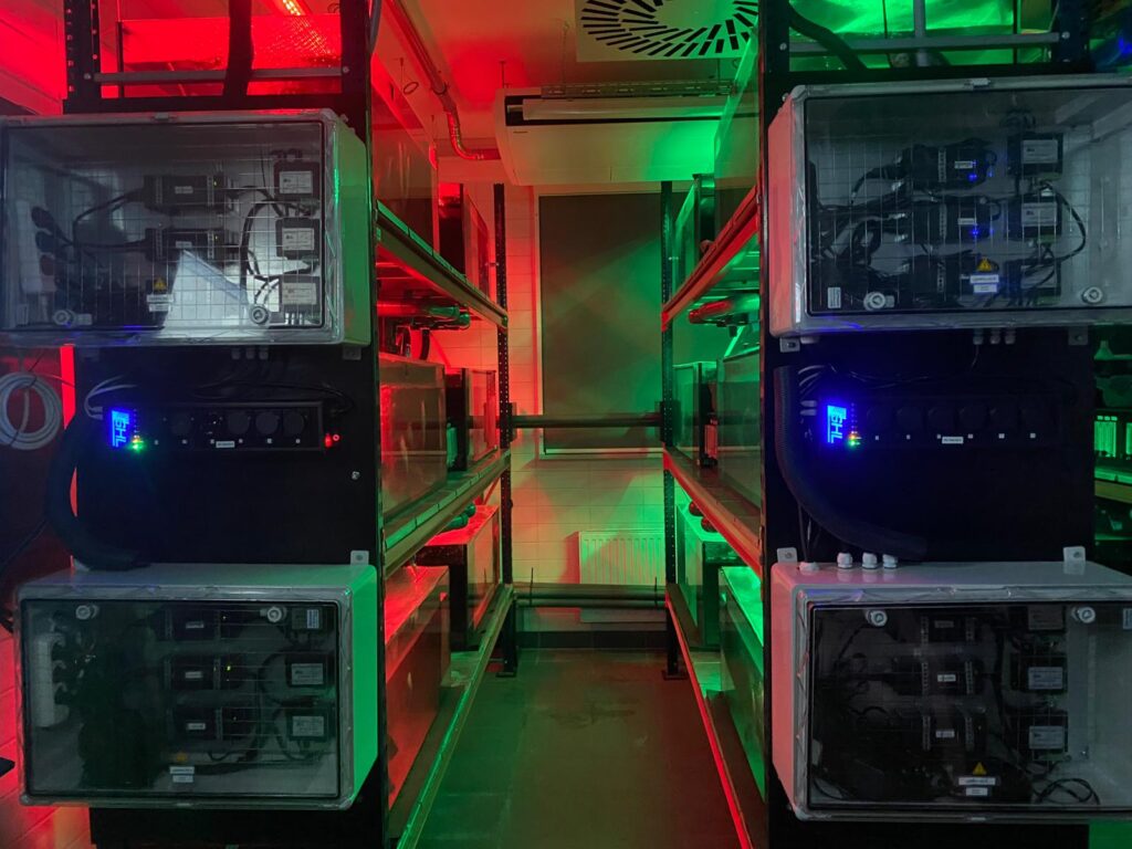 The GHL lighting and control system, featuring the ProfiLux controller and LEDControl4 modules, enables precise simulation of various light spectra and brightness levels for aquaculture research. This technology supports the University of Rostock's efforts to optimize rearing conditions for African catfish, enhancing fish welfare and aquaculture efficiency. The ION Director and KH Director further monitor critical water parameters.