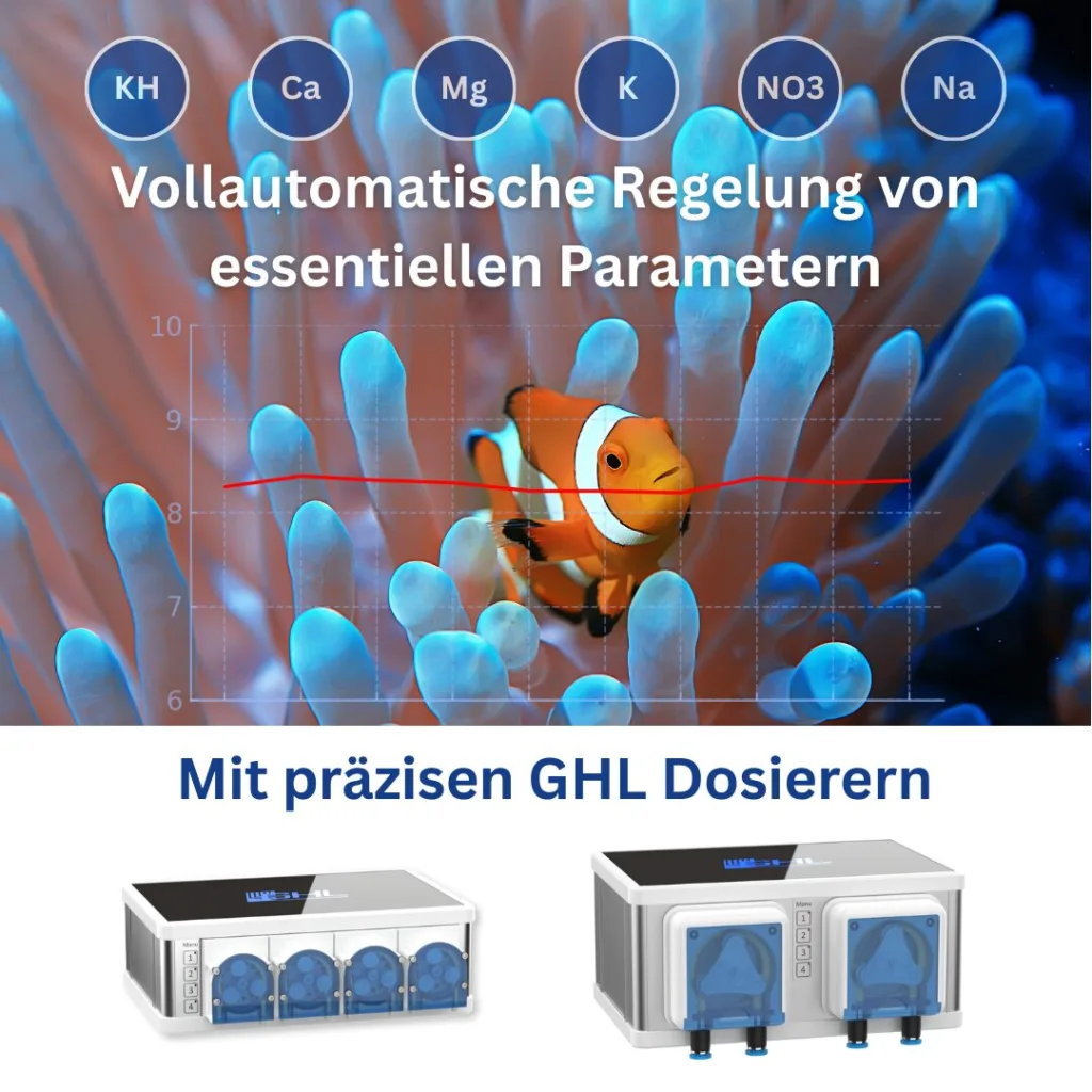 GHL Dosierer bieten vollautomatische, messbasierte Dosierungsanpassungen, um stabile Aquarienbedingungen zu gewährleisten. Mithilfe der Daten der GHL Director-Geräte können die Dosierer Dosierungen automatisch anpassen und so für eine optimale Stabilität sorgen. Das System unterstützt verschiedene Regelungsmodi und präzise Einstellmöglichkeiten. Standalone-Geräte verfügen zudem über WLAN-Konnektivität, was die Bedienung und Integration besonders komfortabel macht.