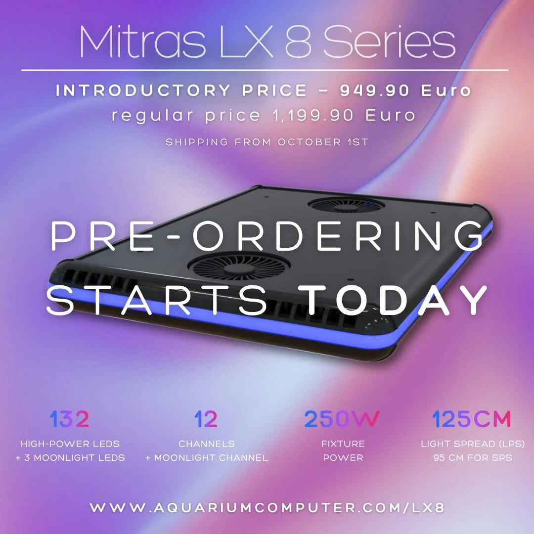 LX8 presales open_English